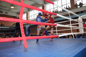 I Открытый кубок Псковской области по тайскому боксу прошел в Великих Луках (ФОТО)