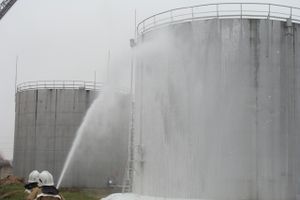 В Острове прошли пожарно-тактические учения (фото)