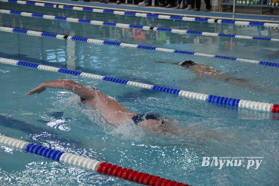 В Великих Луках прошло Первенство города по плаванию (ФОТО)