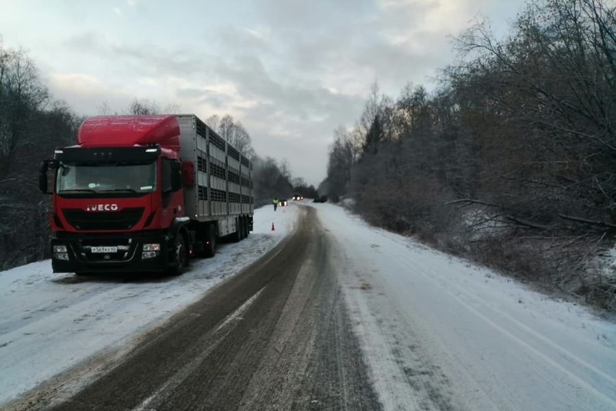 Смертельное ДТП в Великолукском районе (ФОТО)