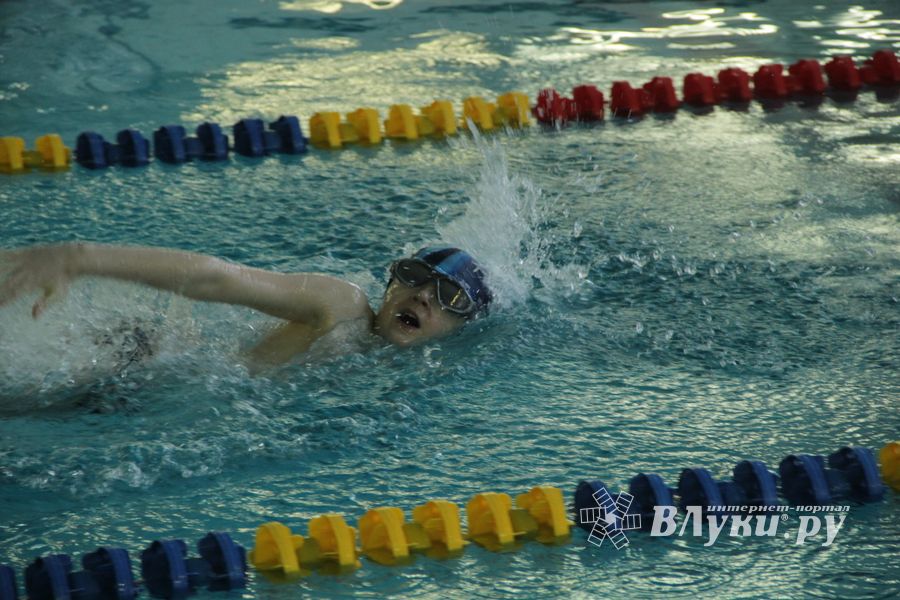 Первый «Быстрый кашалот» в Великих Луках  (фото)