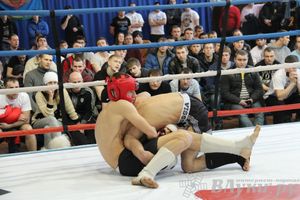 Открытый Кубок города Великие Луки по смешанному боевому единоборству (ММА)