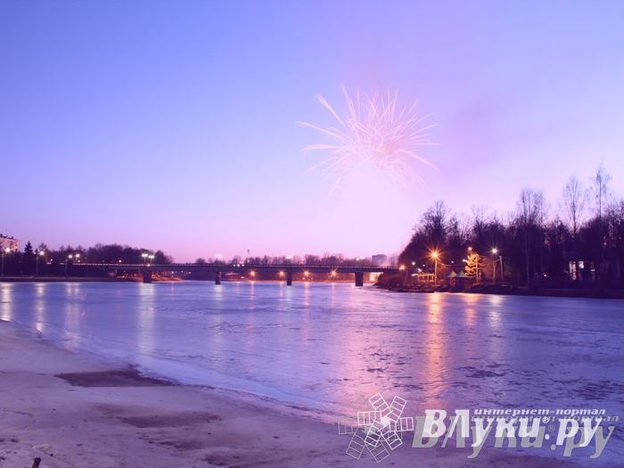 День защитника отечества в Великих Луках отметили памятным митингом и салютом