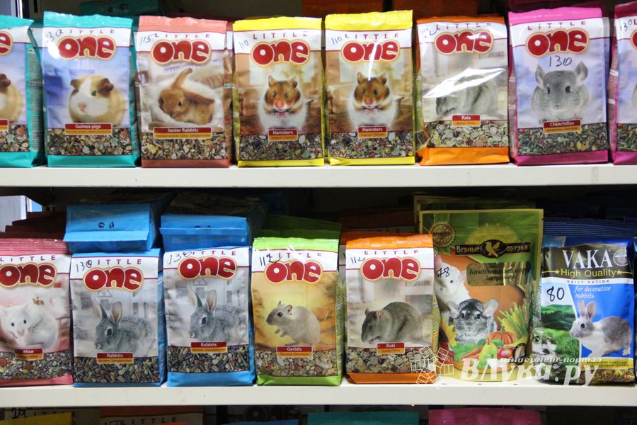 «Zooбастики»: подарите праздник своим любимцам! (ФОТО+ВИДЕО)