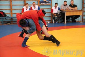Первенство Псковской области по самбо