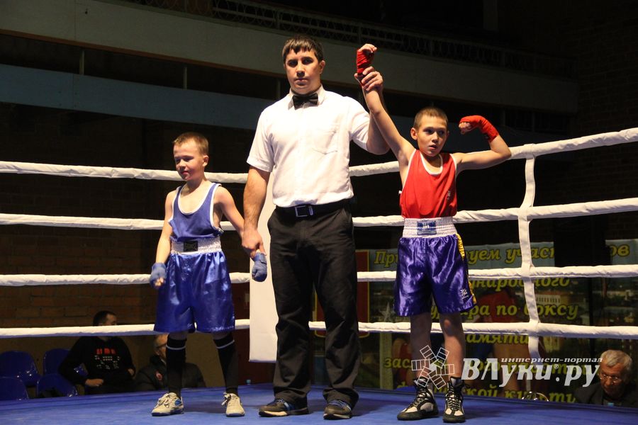 В Великих Луках проходят соревнования по боксу памяти Е.А. Клевцова (фоторепортаж)