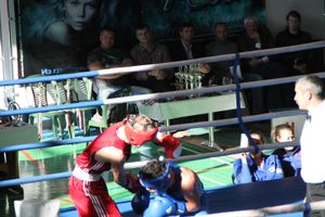  XV Международный турнир по боксу памяти Заслуженного работника физической культуры России Евгения Афанасьевича Клевцова