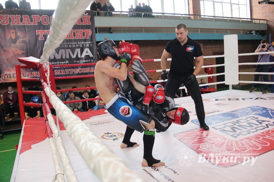 В Великих Луках прошел международный открытый Кубок по смешанному боевому единоборству (ФОТО) (16+)