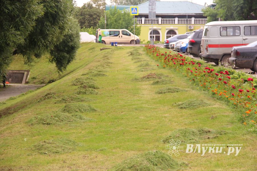 В Великих Луках сажают, стригут и красят (ФОТО)