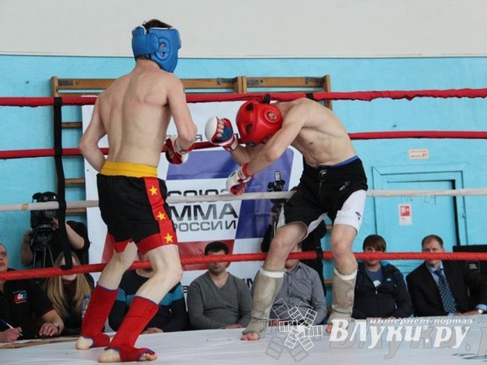 Чемпионат Псковской области по ММА