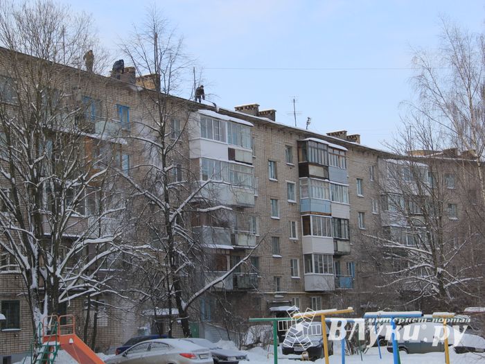 Смелые люди на крах Великих Лук