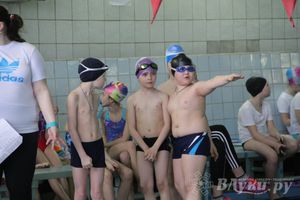 В Великих Луках прошли соревнования по плаванию «Весёлый дельфин» 