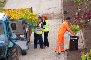 В Великих Луках сажают, стригут и красят (ФОТО)