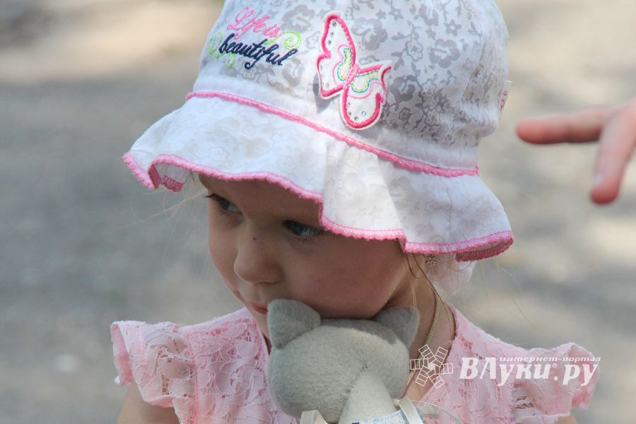 В городском парке Великих Лук прошёл День мороженого