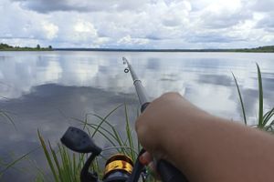 © ВЛуки.ру/ Ирина Ловчая