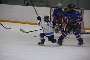 В Великих Луках прошел детский Открытый турнир по хоккею (ФОТО)
