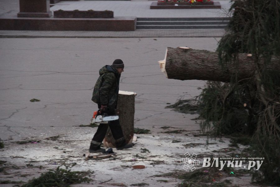 Необычное украшение сняли с главной ёлки Великих Лук (ФОТО)