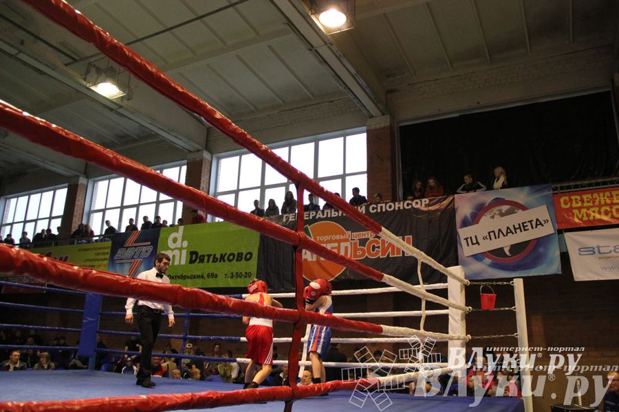 Открытие 16-го  Международного турнира по боксу