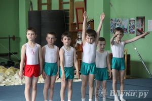 В Великих Луках состоялось Первенство по командной гимнастике (фото)