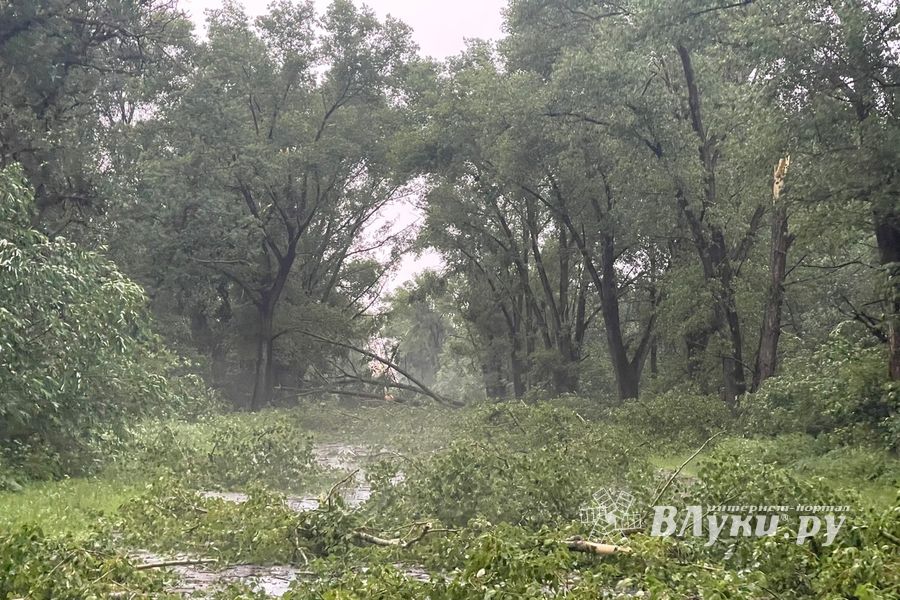 Весь ужас вчерашнего урагана в Великих Луках и районе (ФОТО, ВИДЕО)