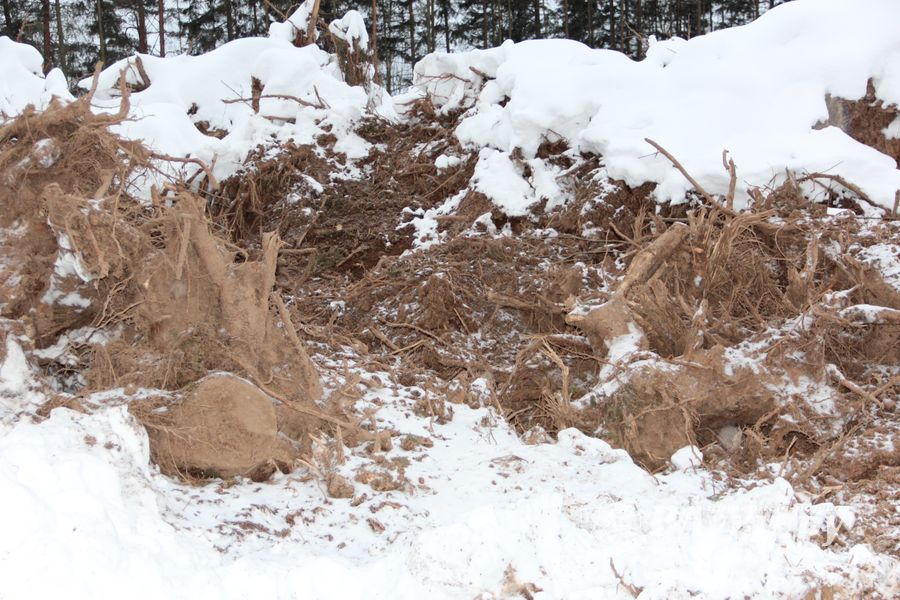 В Великих Луках ведется строительство центра по подготовке велосипедистов (ФОТО)