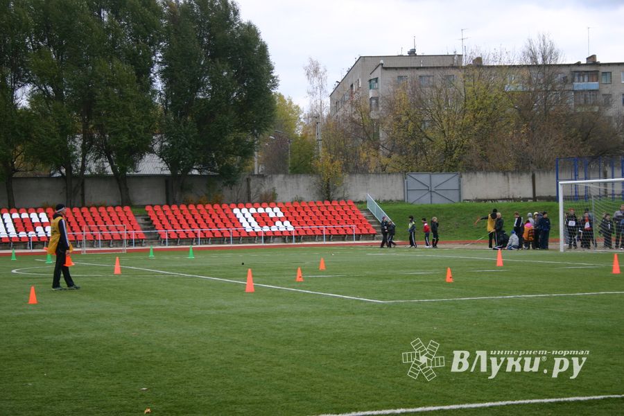 «Шиповка юных»