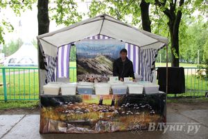 В Пскове проходит 22-ая универсальная выставка (фото)