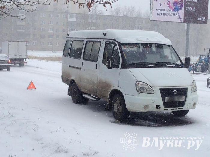 «День жестянщика» в Великих Луках (ФОТО)