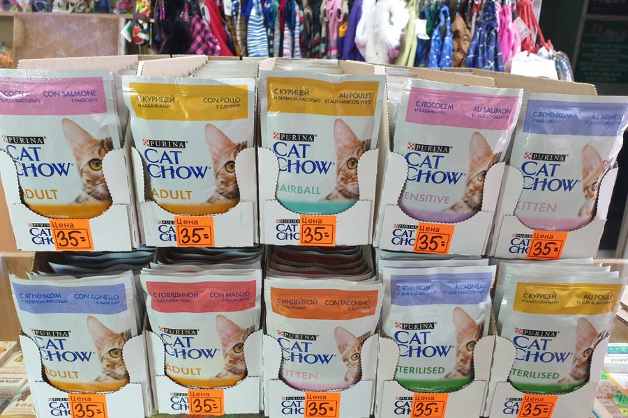 1 марта - ваш кот заслуживает подарок