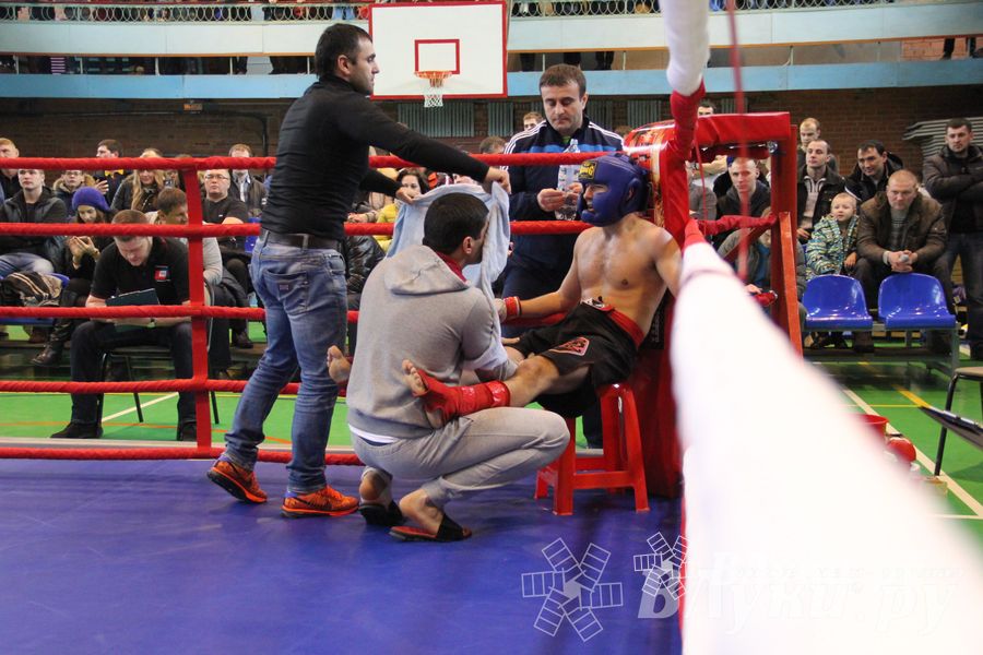 В Великих Луках прошел межрегиональный Открытый Кубок по смешанному боевому единоборству (фото)