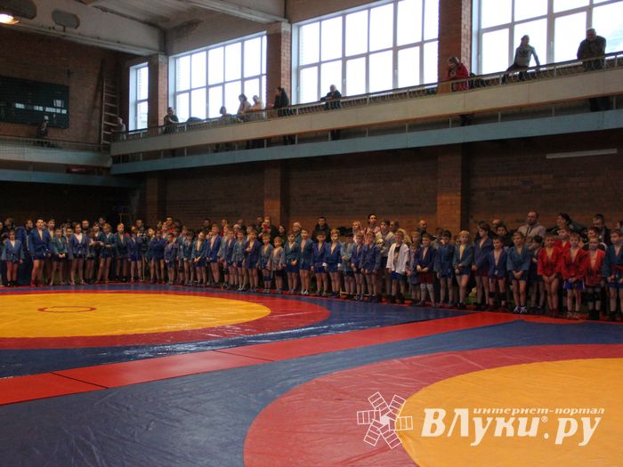 Открытый турнир по самбо «Новогодняя звезда-2019» прошел в Великих Луках (ФОТО)