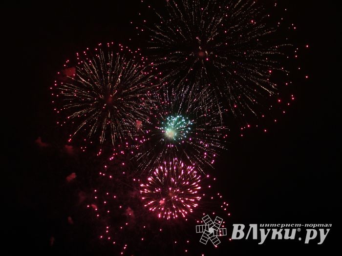 В Великих Луках зажглась новогодная ёлка (ФОТО)