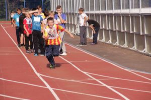 В Великих Луках состоялись соревнования «Шиповка юных» (фото)