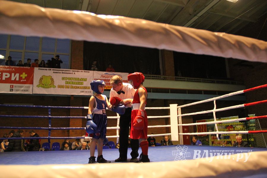 В Великих Луках проходят соревнования по боксу памяти Е.А. Клевцова (фоторепортаж)