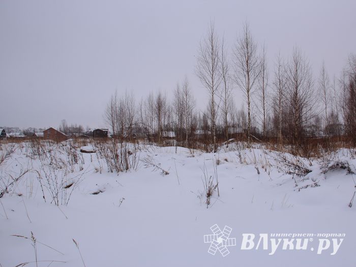 Губернатору не понравилось место для новой школы в Великих Луках (ФОТО)