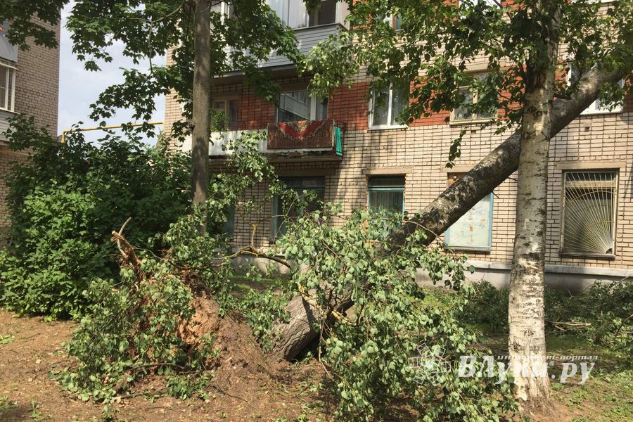 Небезразличные великолучане помогают убрать город после урагана (ФОТО)