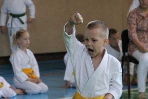 Турнир по каратэ