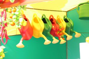 СТЦ «СтройСам» порадовал великолучан на универсальной ярмарке «Весна-2018» (ФОТО)