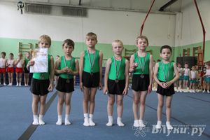 В Великих Луках состоялось Первенство по командной гимнастике (фото)