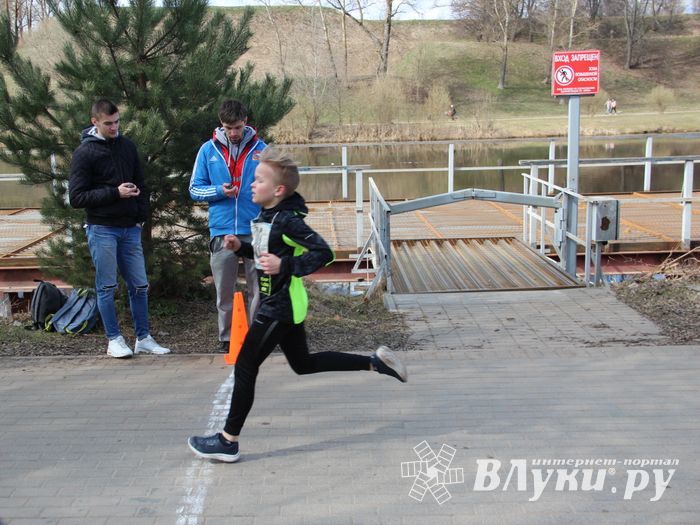 В Великих Луках прошёл легкоатлетический кросс (ФОТО)
