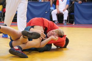 В Великих Луках прошли соревнования по самбо (ФОТО)