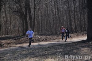 Весенний кросс