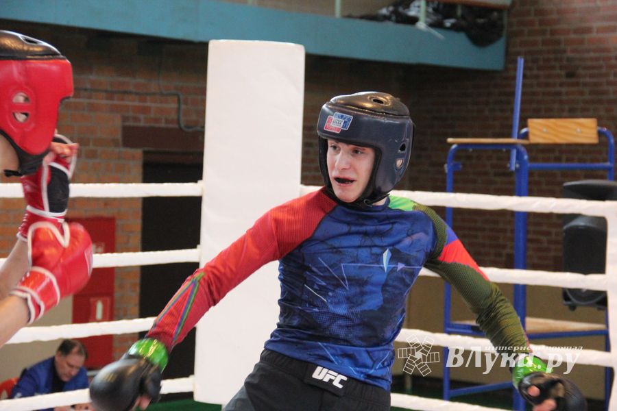 В Великих Луках прошел международный открытый Кубок по смешанному боевому единоборству (ФОТО) (16+)