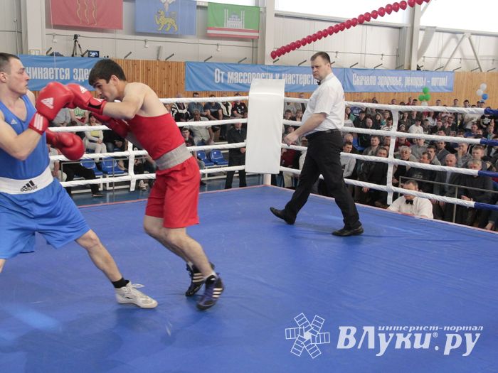 Матчевая встреча по боксу Великие Луки —Псков — Грозный (ФОТО)