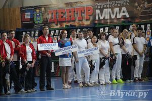 В Великих Луках состоялось открытие Чемпионата России по стрельбе из блочного и классического лука (фото)