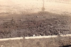 Снег ушел, пыль и грязь вернулись (фото)