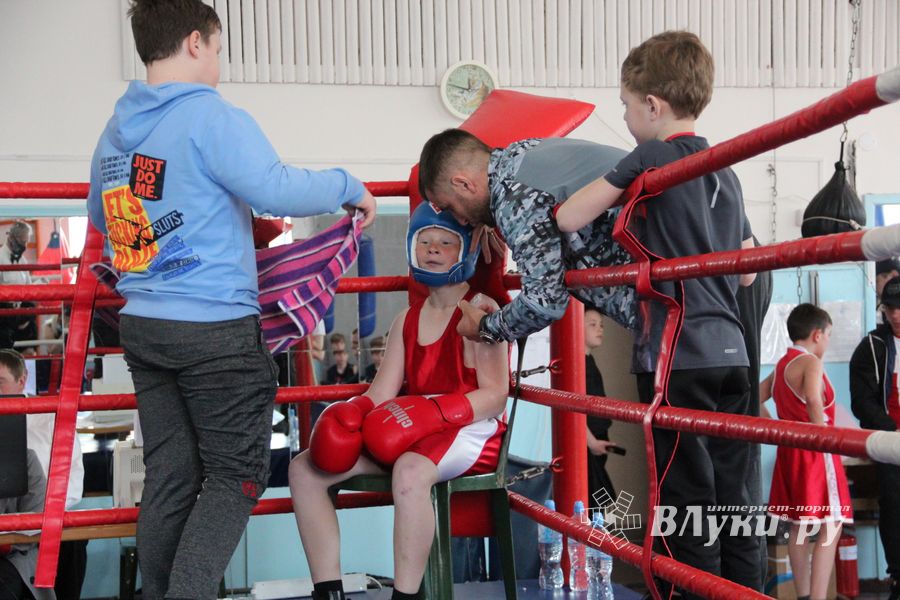В Великих Луках завершился открытый турнир по боксу (ФОТО)