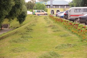 В Великих Луках сажают, стригут и красят (ФОТО)