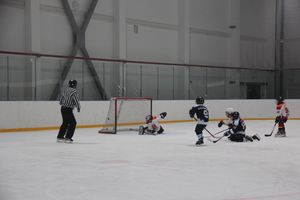 Товарищескике хоккейные игры между детскими командами прошли в Великих Луках (ФОТО)