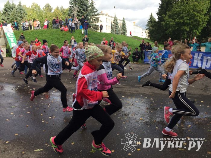 В Великих Луках стартовал Всероссийский день бега «Кросс нации-2017» (ФОТО)